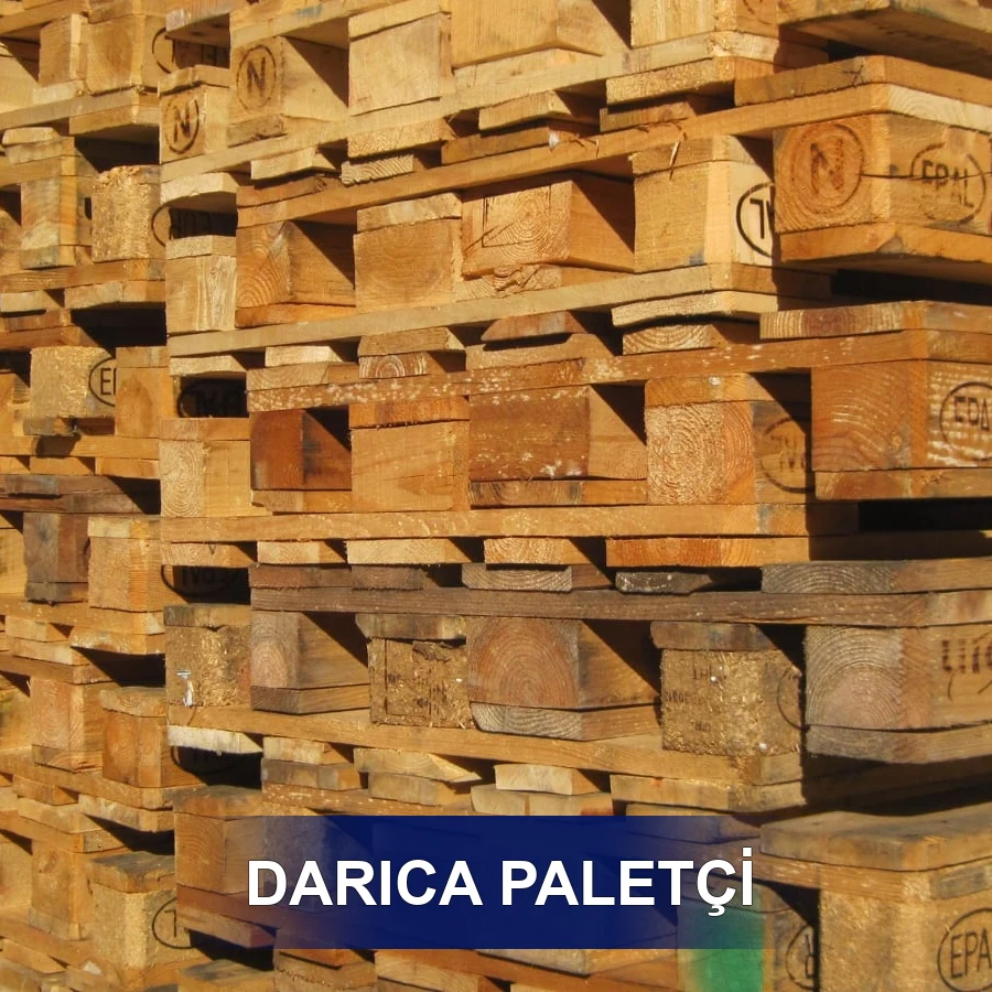 Darıca Paletçi